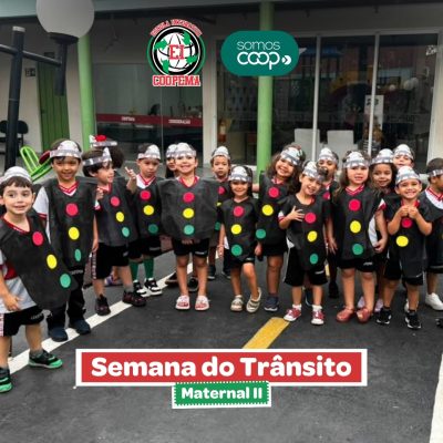 Projeto Trânsito - Maternal II